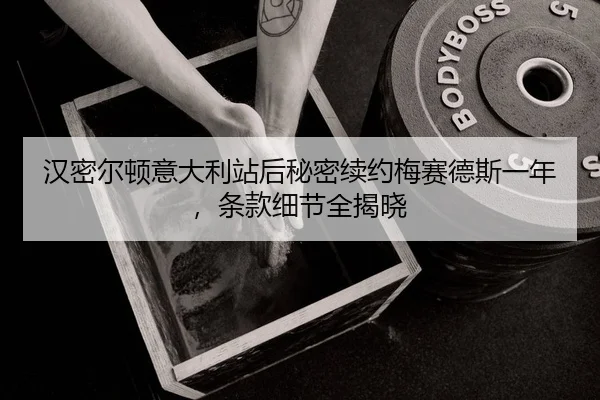 han-mi-er-dun-yi-da-li-zhan-hou-mi-mi-xu-yue-mei-sai-de-si-yi-nian-tiao-kuan-xi-jie-quan-jie-xiao-2-331.jpg